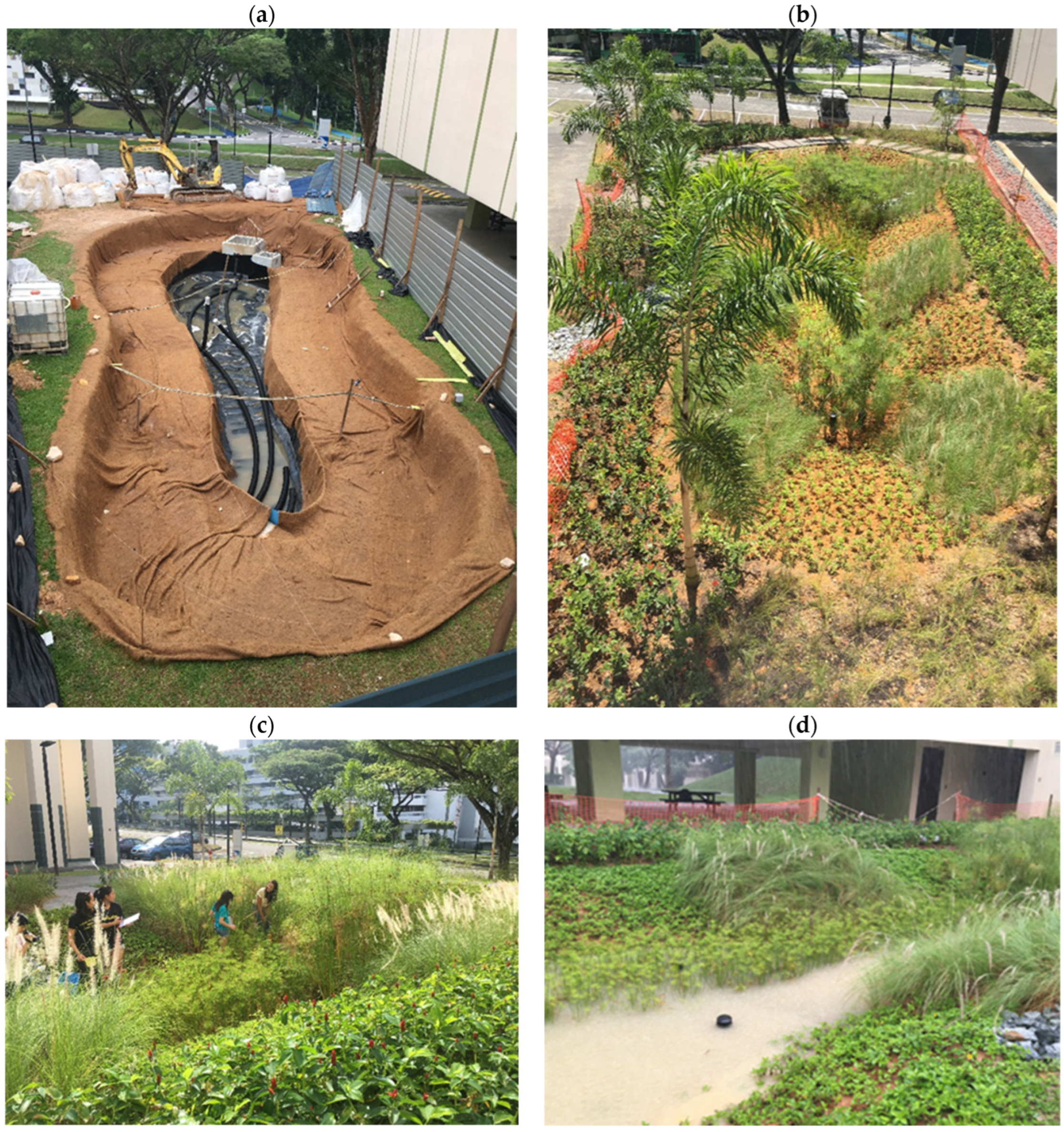 Sustainability 16 03694 g008