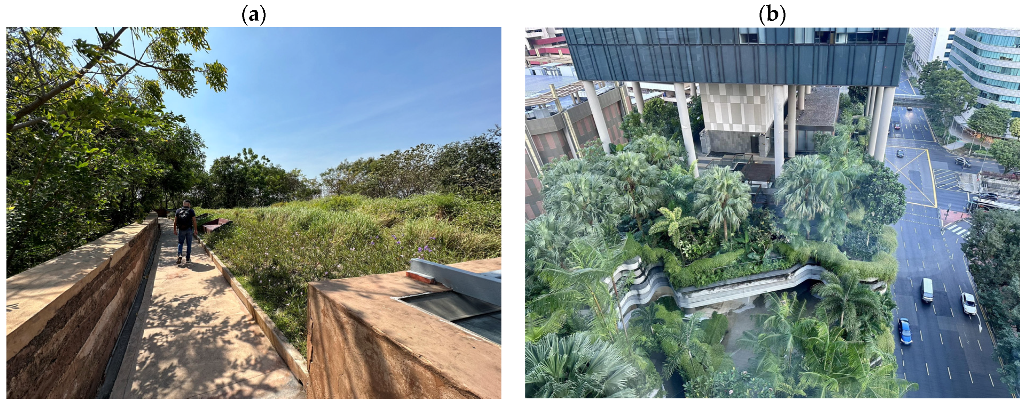 Sustainability 16 03694 g009