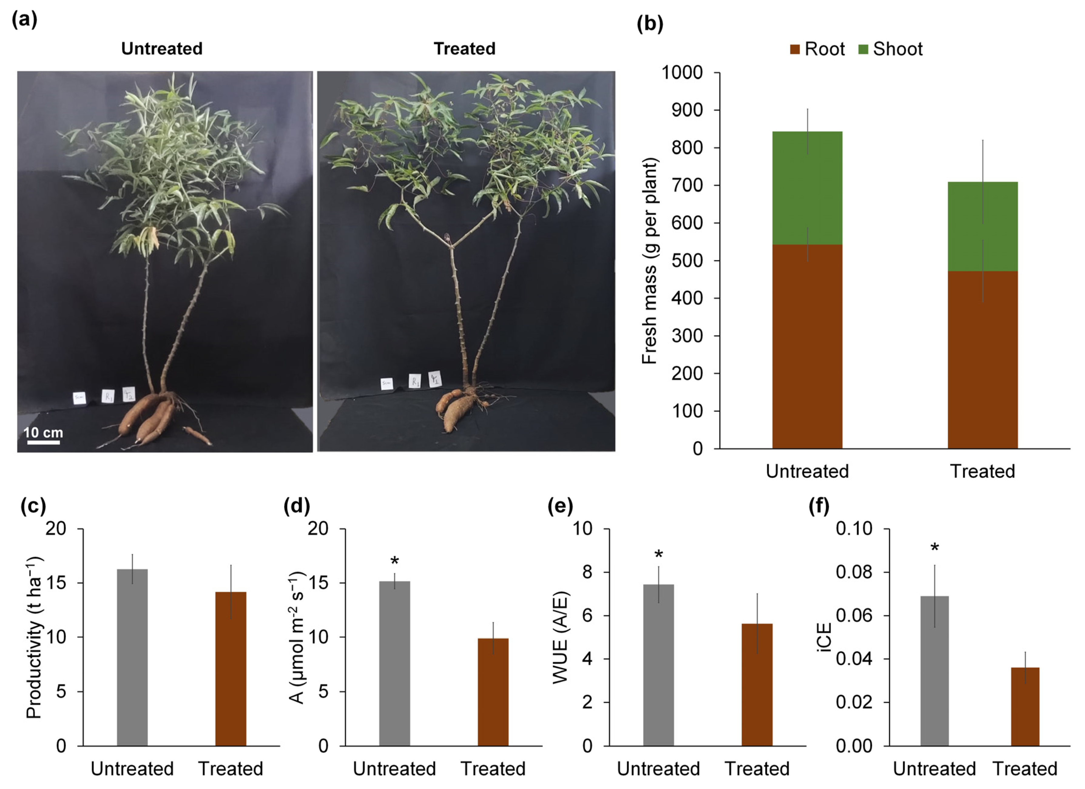 Sustainability 16 04088 g002