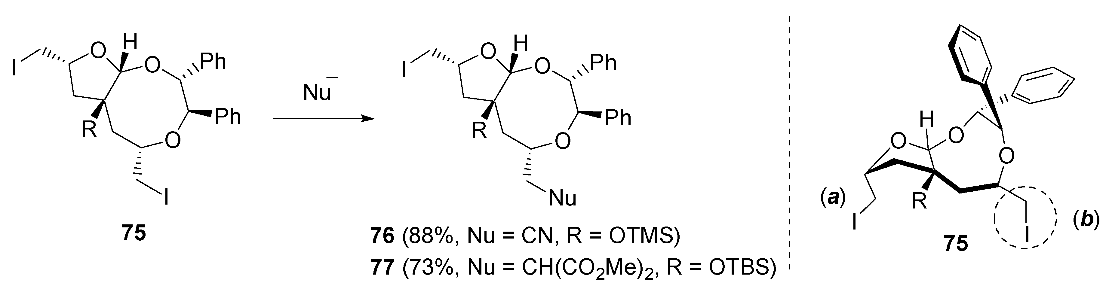 Symmetry 02 00437 sch028