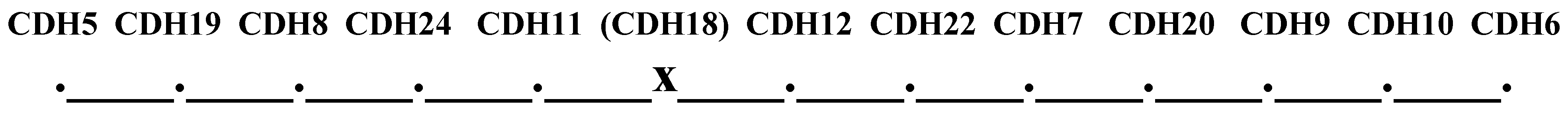 Symmetry 04 00644 g025