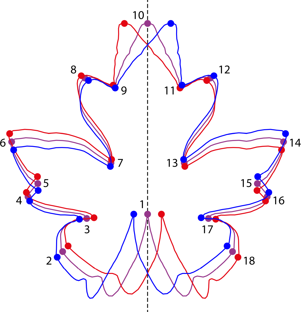 free pythagoras in der spatantike