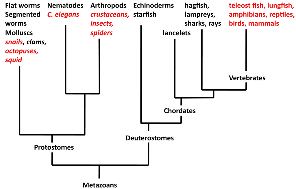 epub planetary systems and the origins