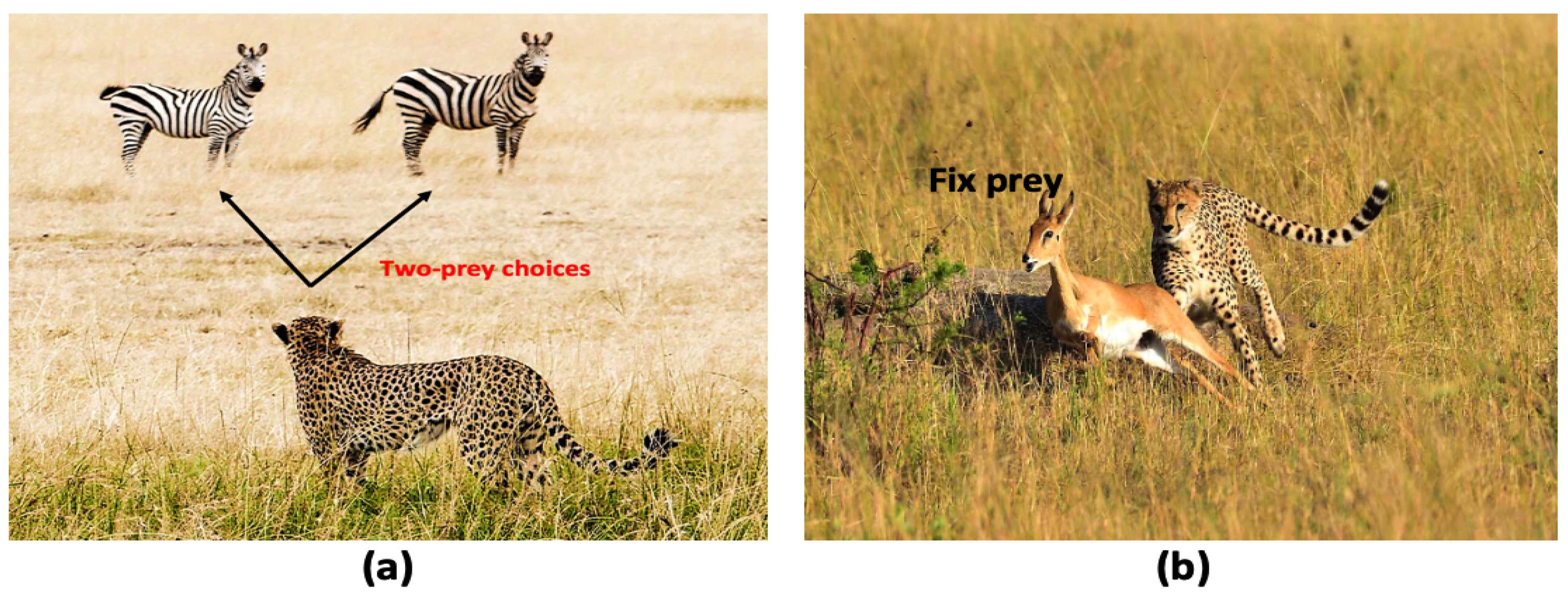 Symmetry 14 00846 g001