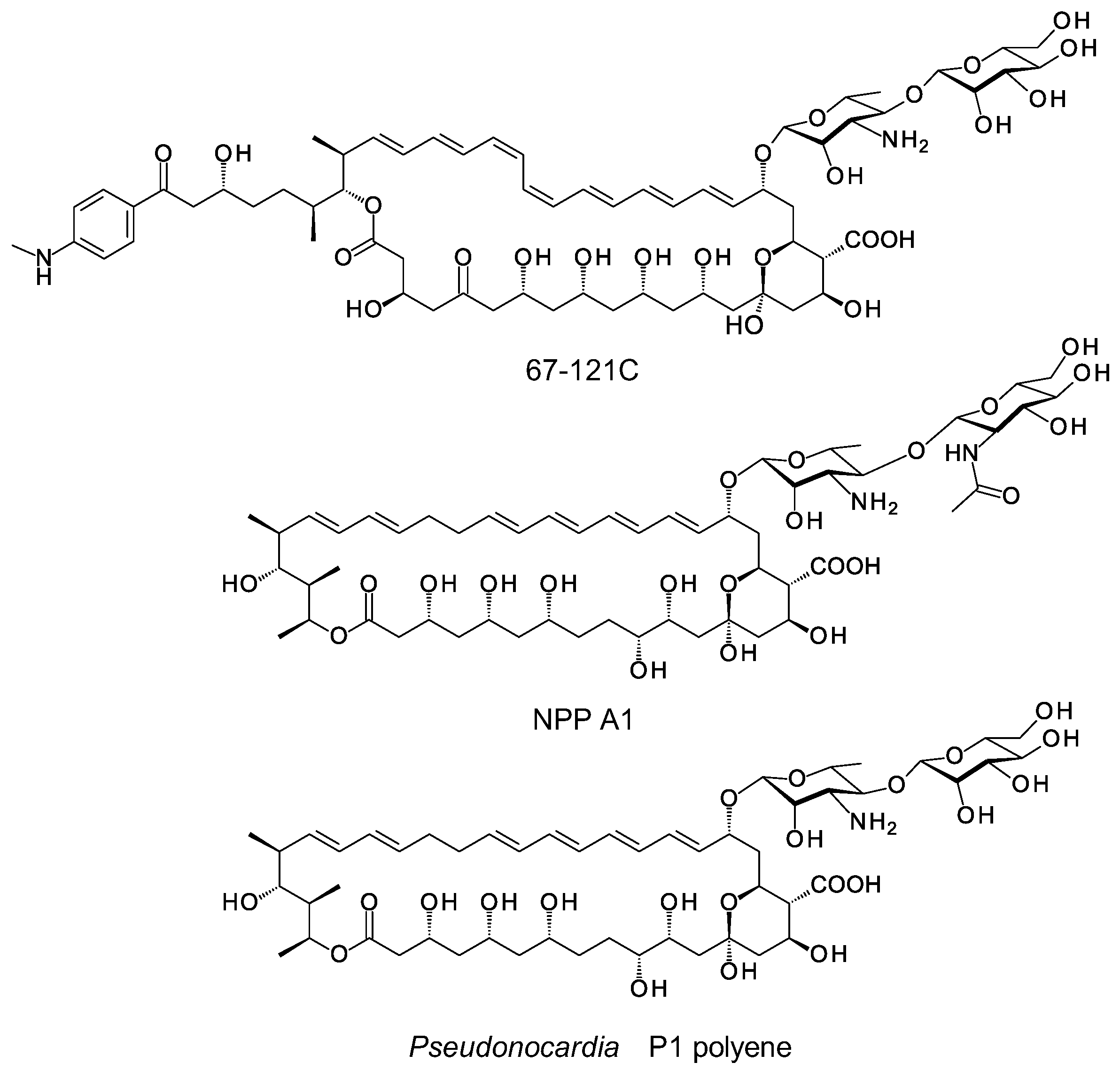 Synbio 02 00003 g002