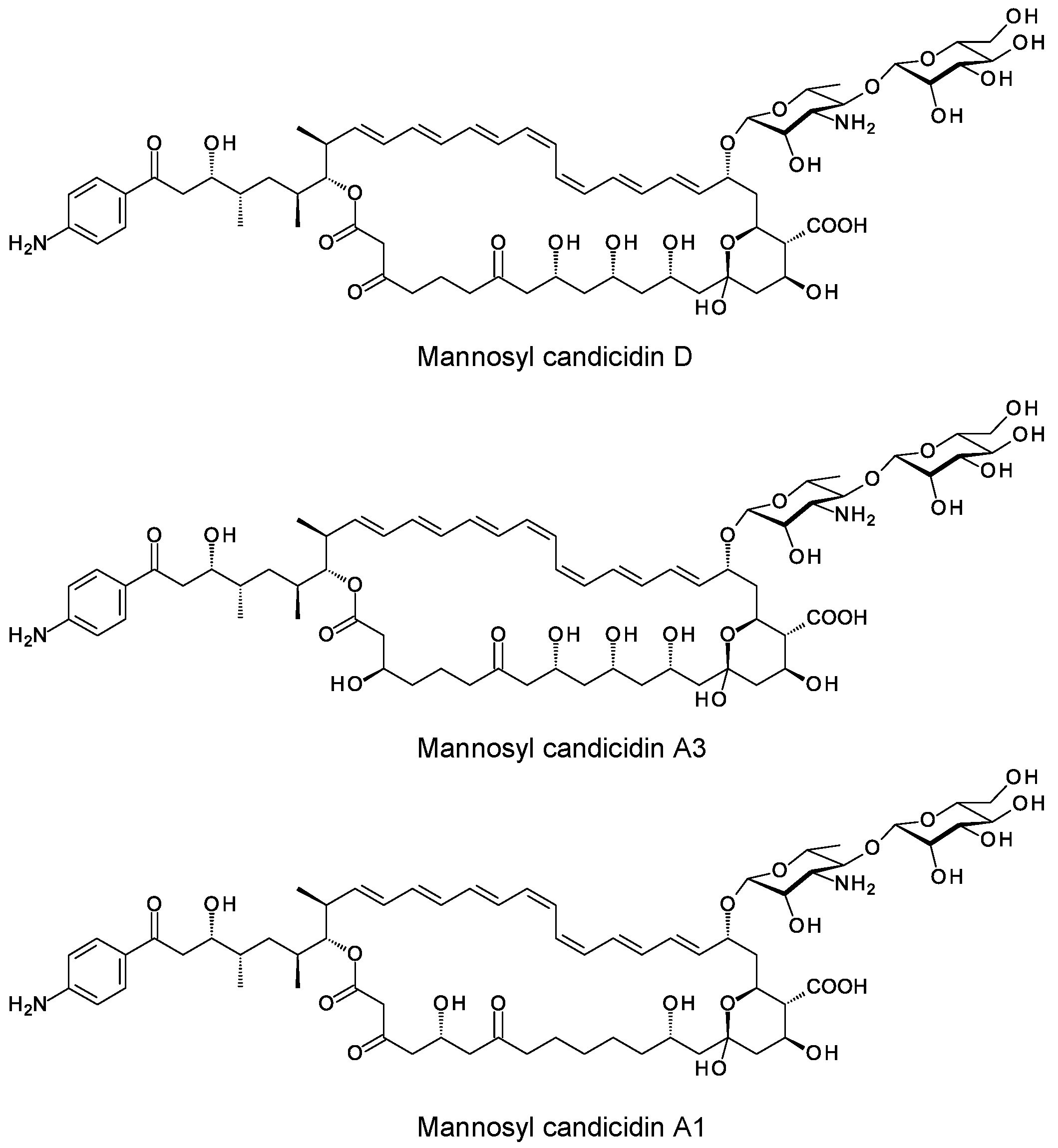 Synbio 02 00003 g008