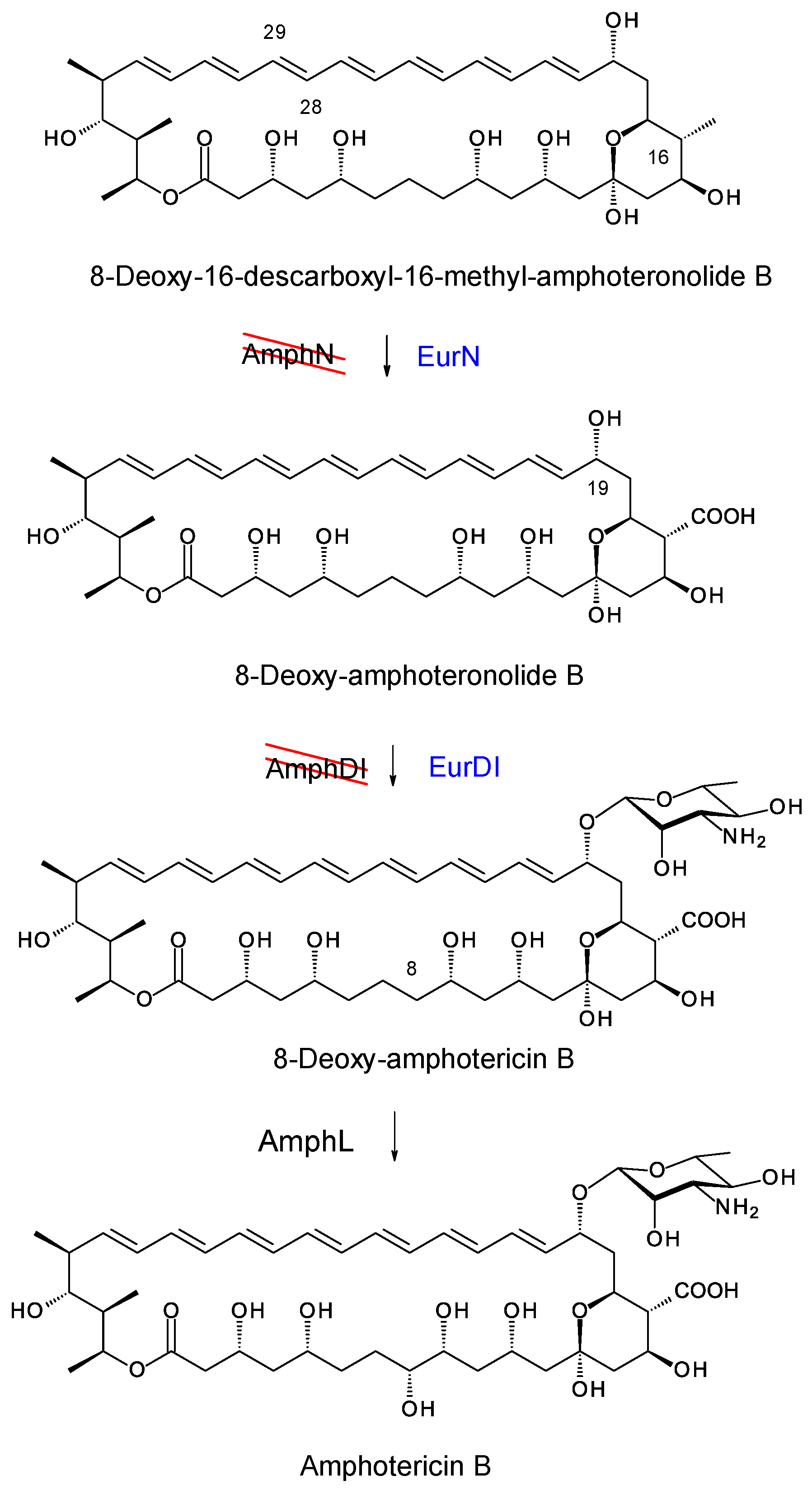 Synbio 02 00003 g015
