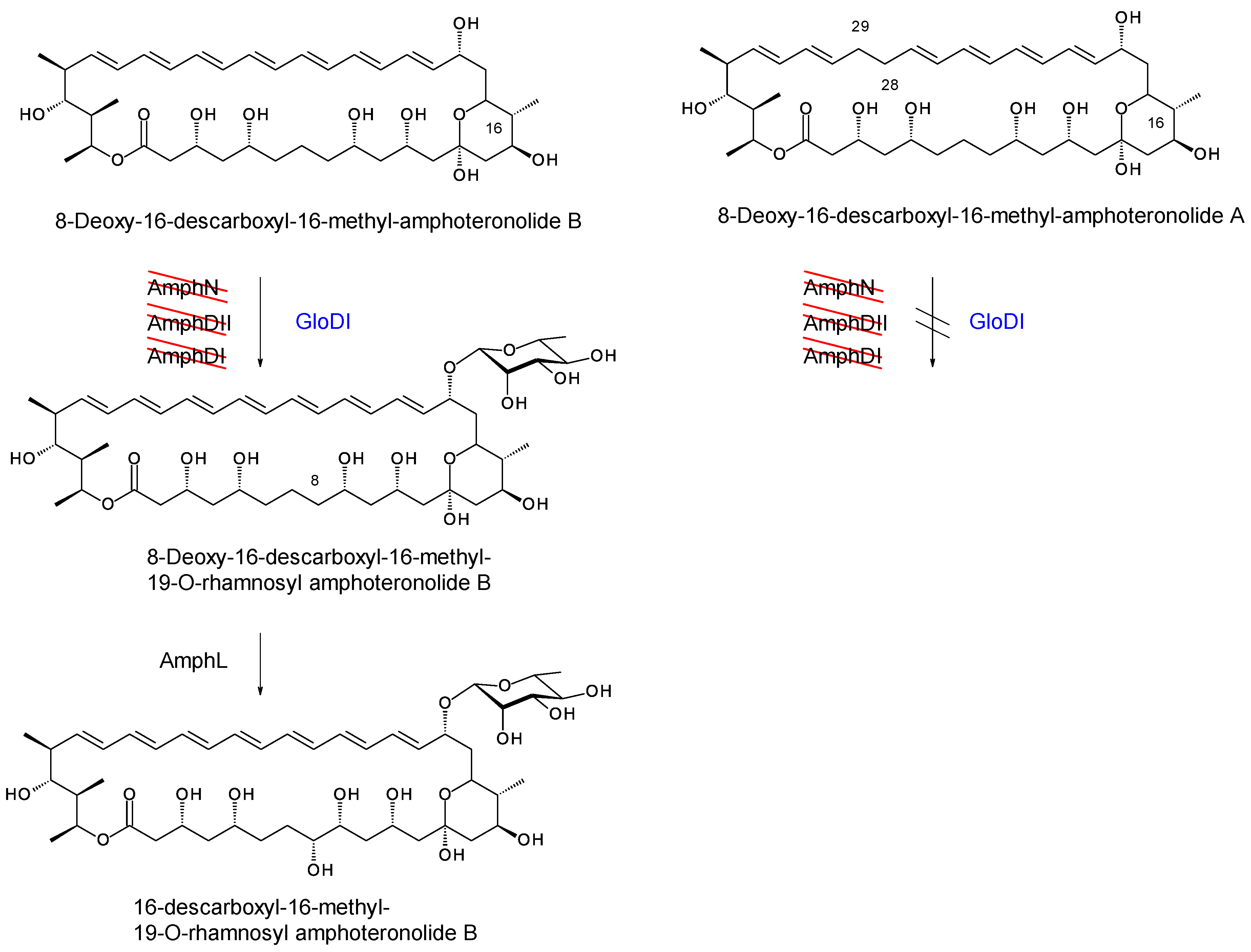 Synbio 02 00003 g024
