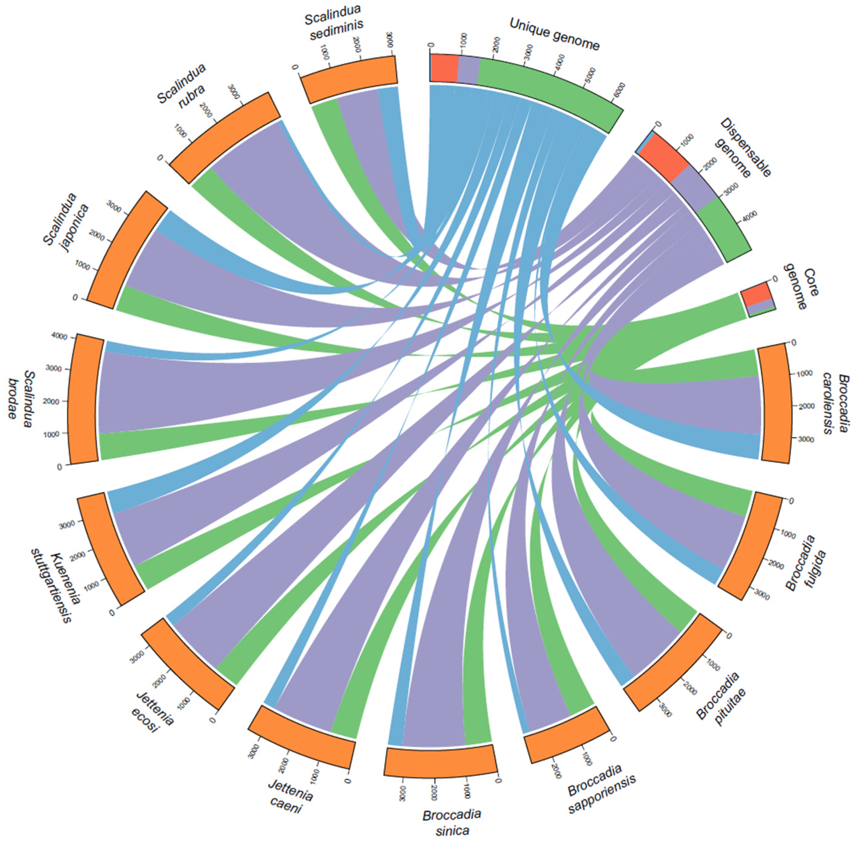 Synbio 02 00005 g001