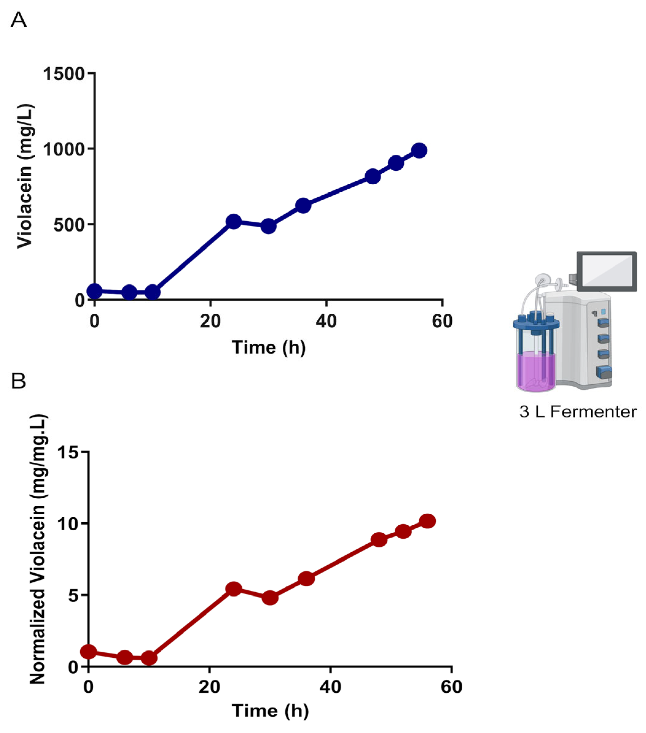 Synbio 02 00007 g004