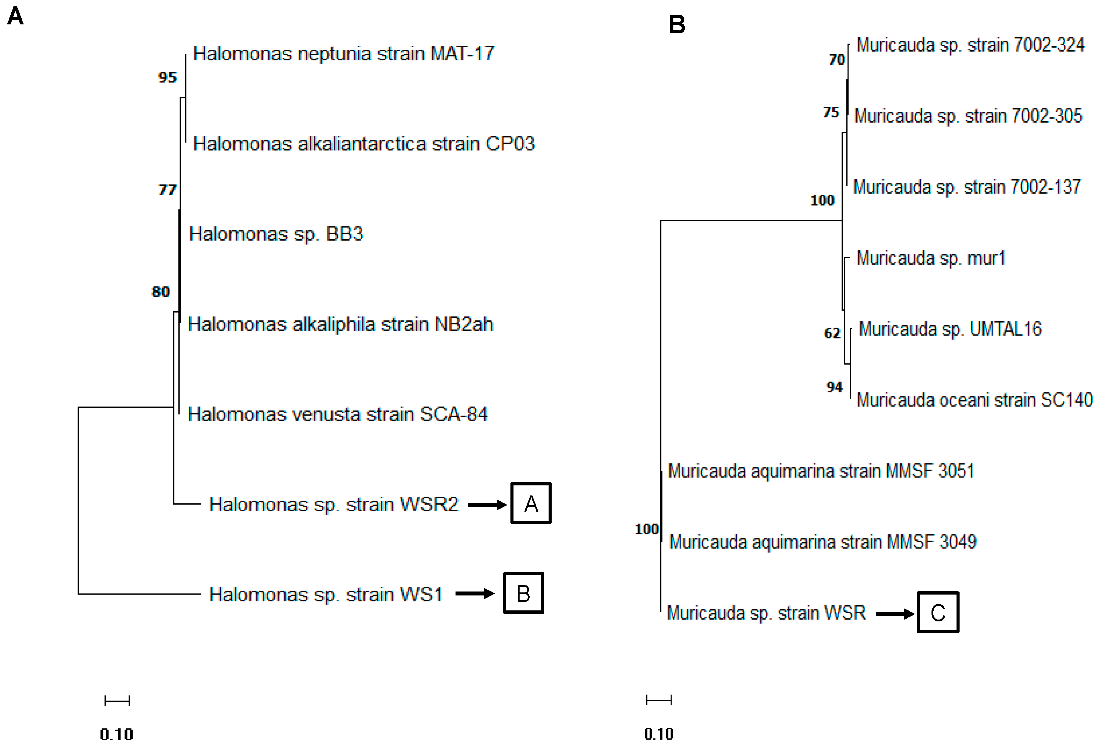 Synbio 02 00011 g003