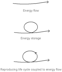Systems 01 00030 g001 200