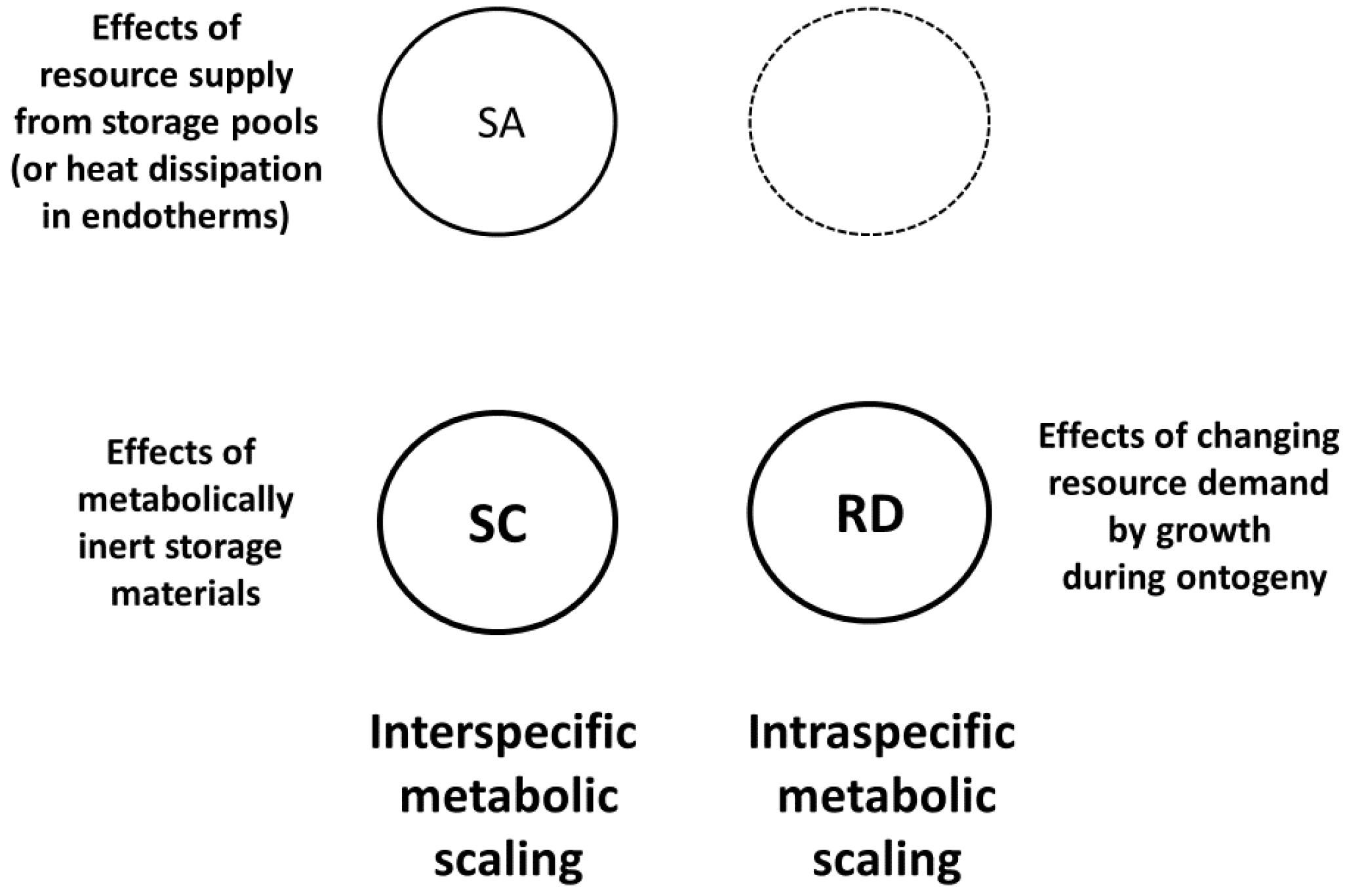 systems free full text rediscovering and reviving old the reason that metabolizing cells are small in size is because