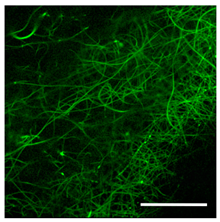 Technologies 11 00146 i007