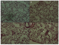 Toxics 01 00036 g001 200
