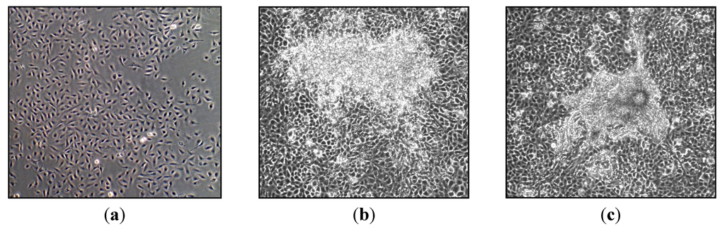 Toxics 01 00046 g003 1024