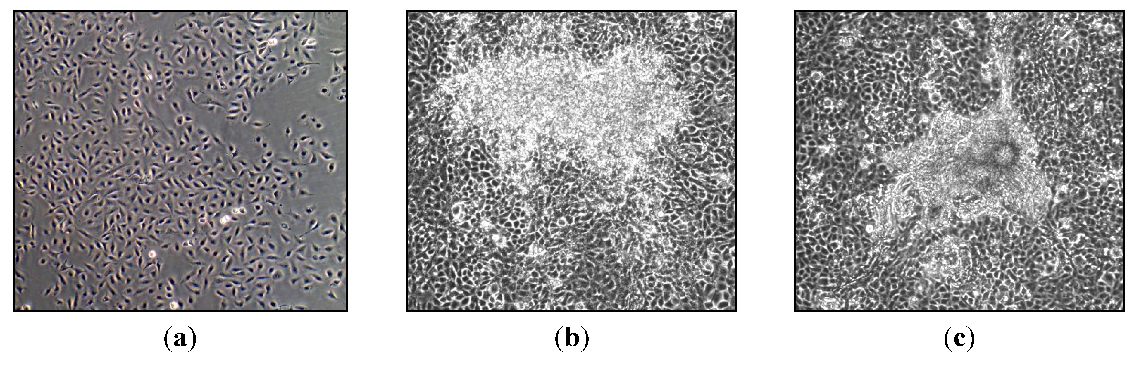 Toxics 01 00046 g003