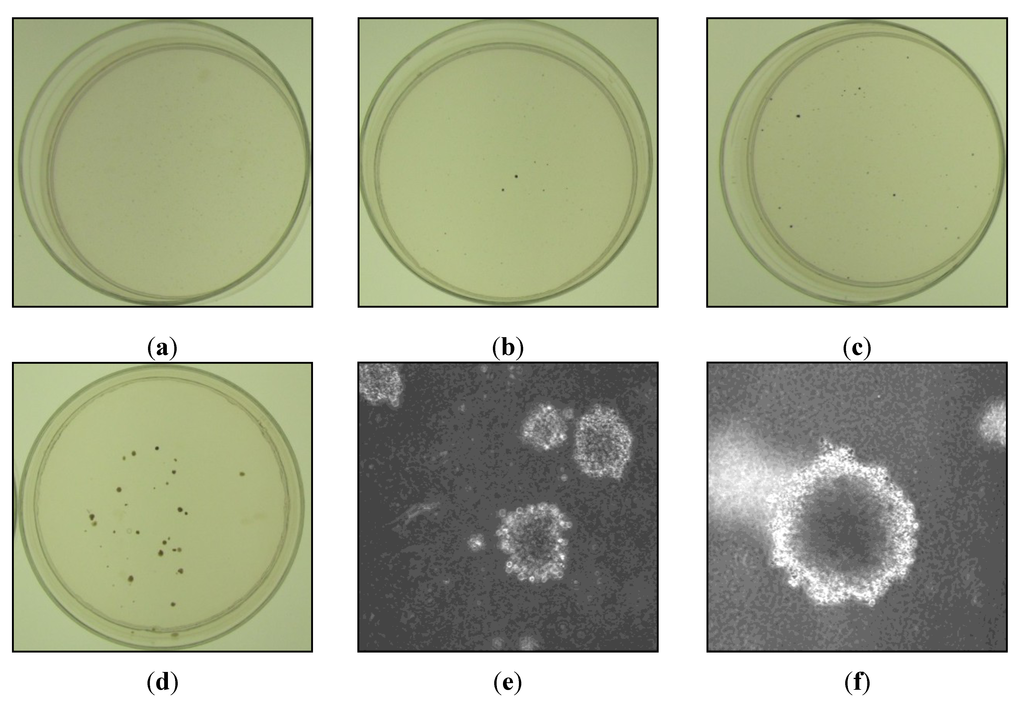 Toxics 01 00046 g004 1024