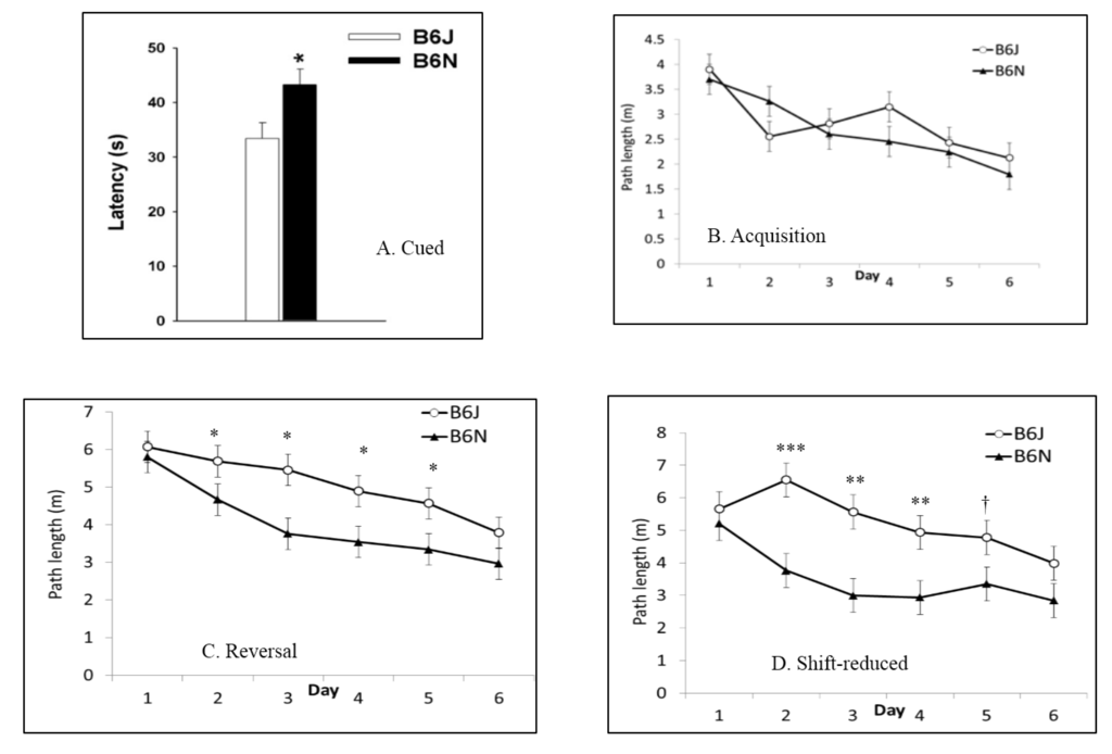 ادخل+قضيبه Toxics | Free Full-Text | Comparison of Neurological Function in Males ...