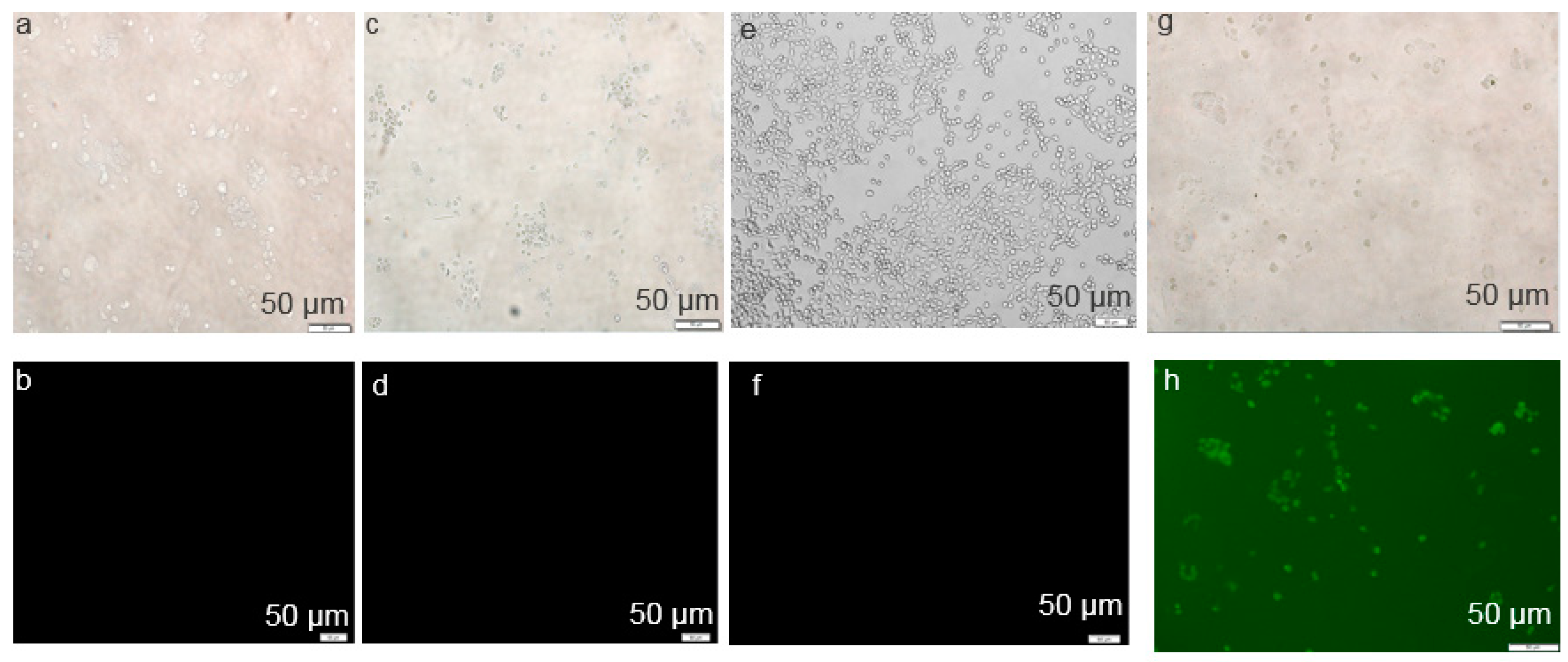 Toxics 06 00034 g006