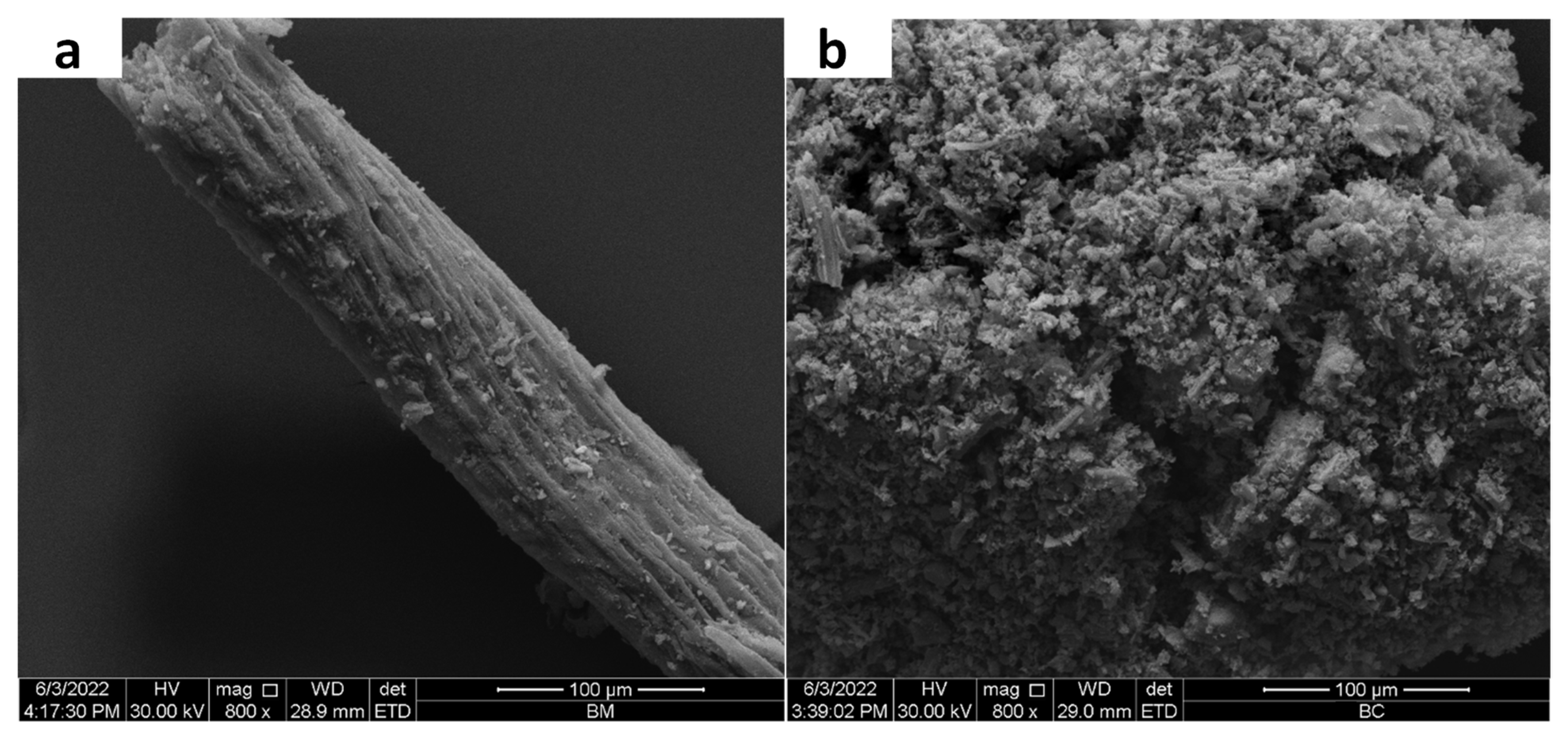 Toxics 11 00881 g002