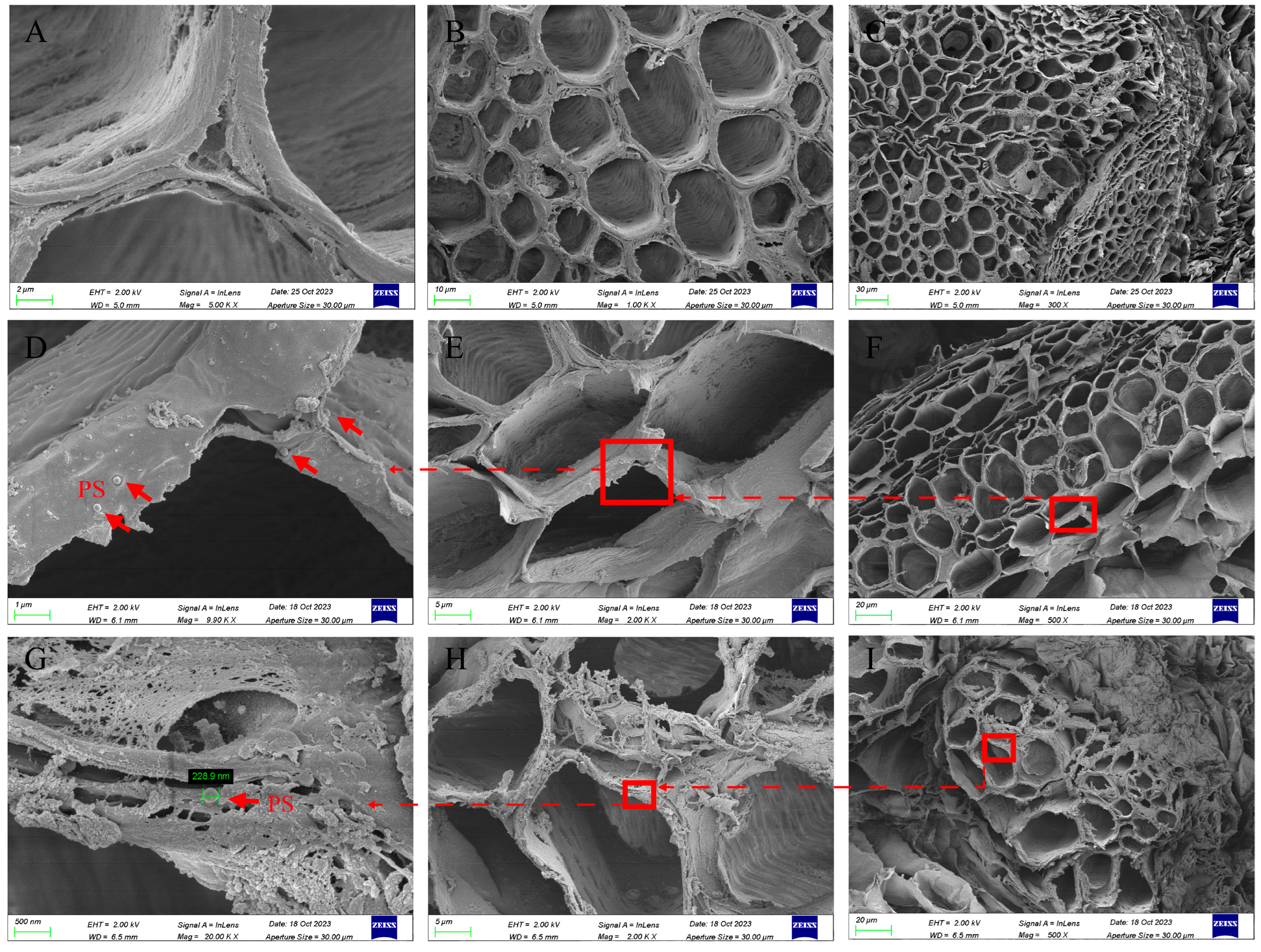 Toxics 12 00155 g004