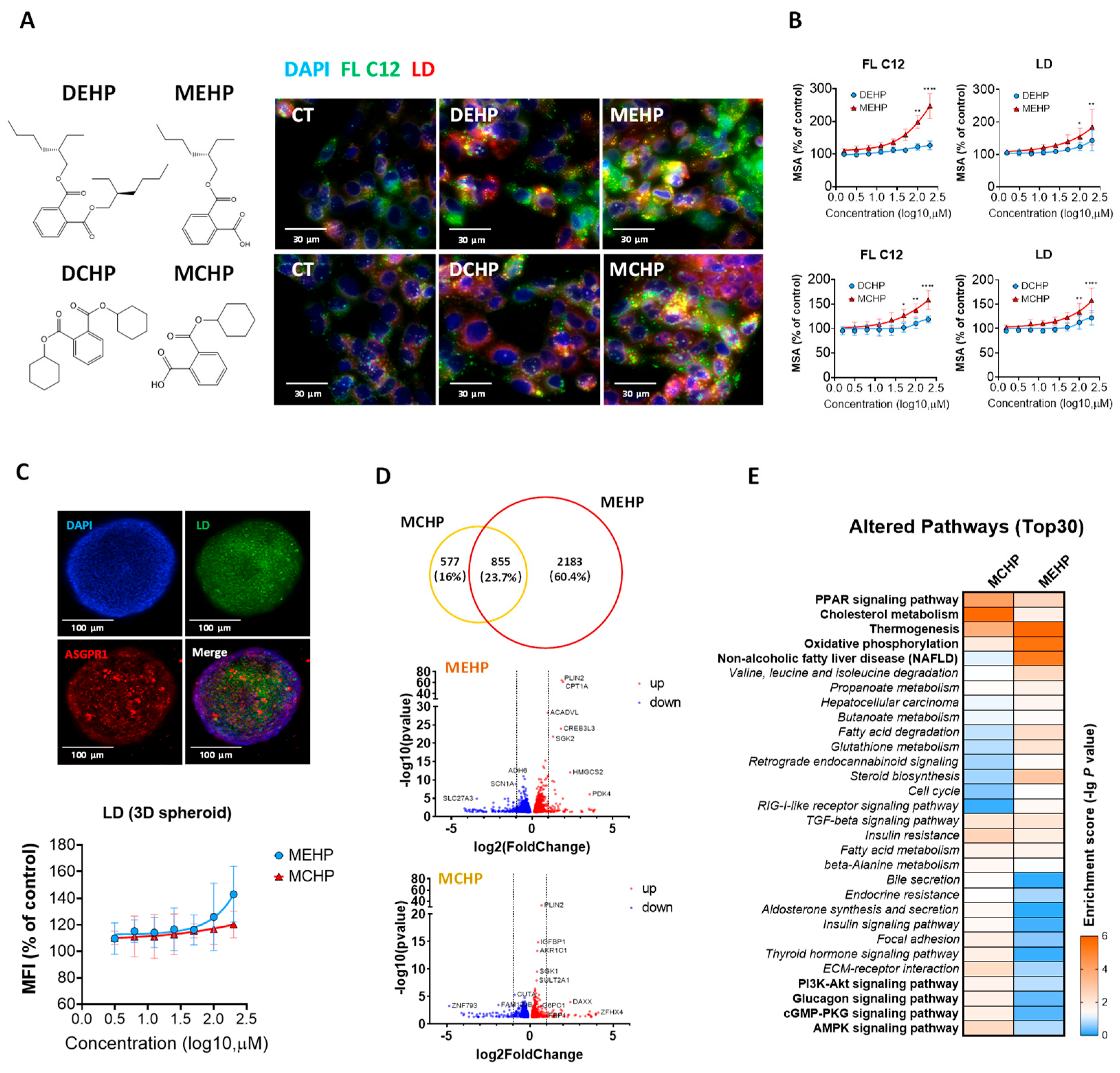 Toxics 12 00214 g001