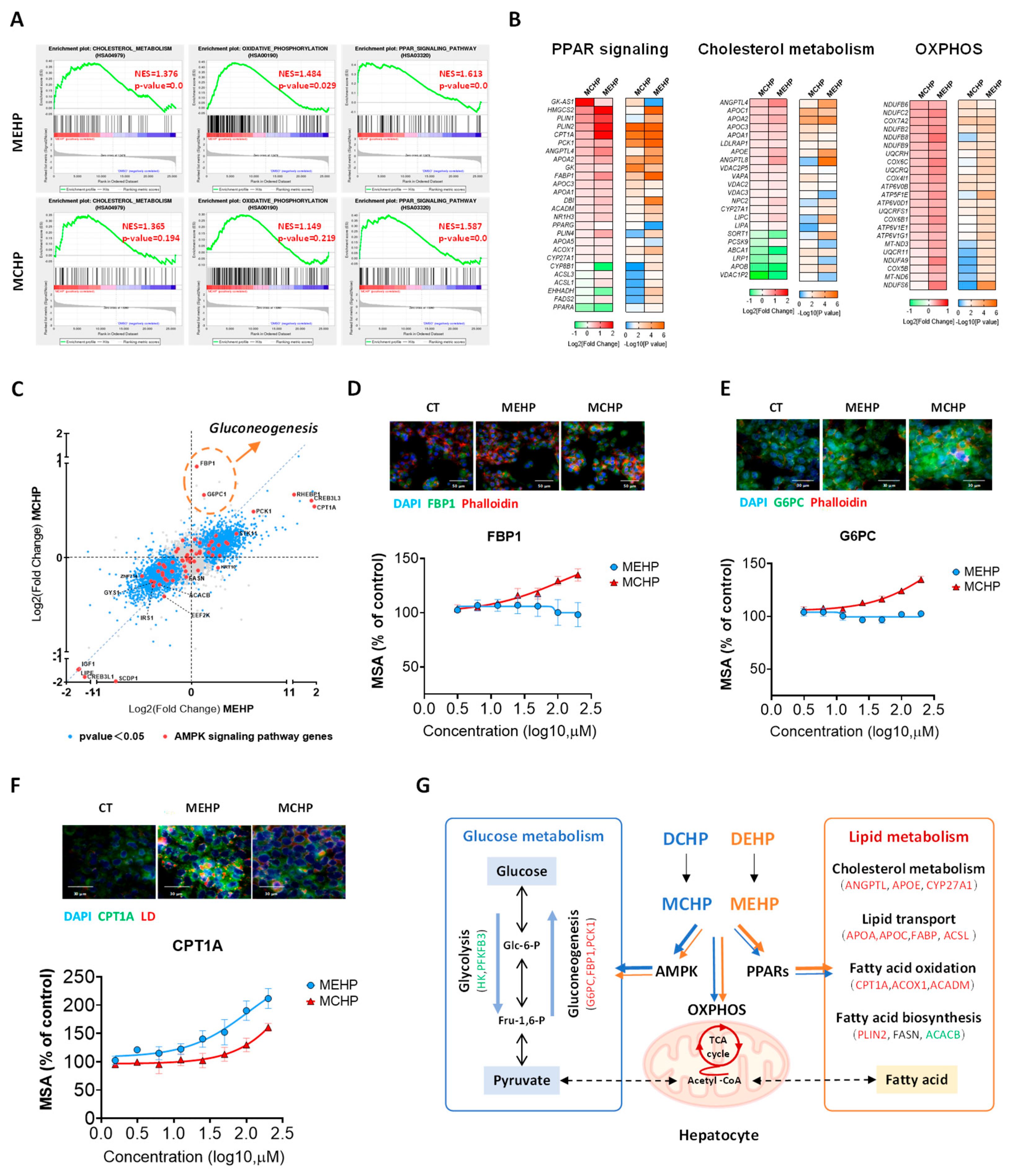 Toxics 12 00214 g002