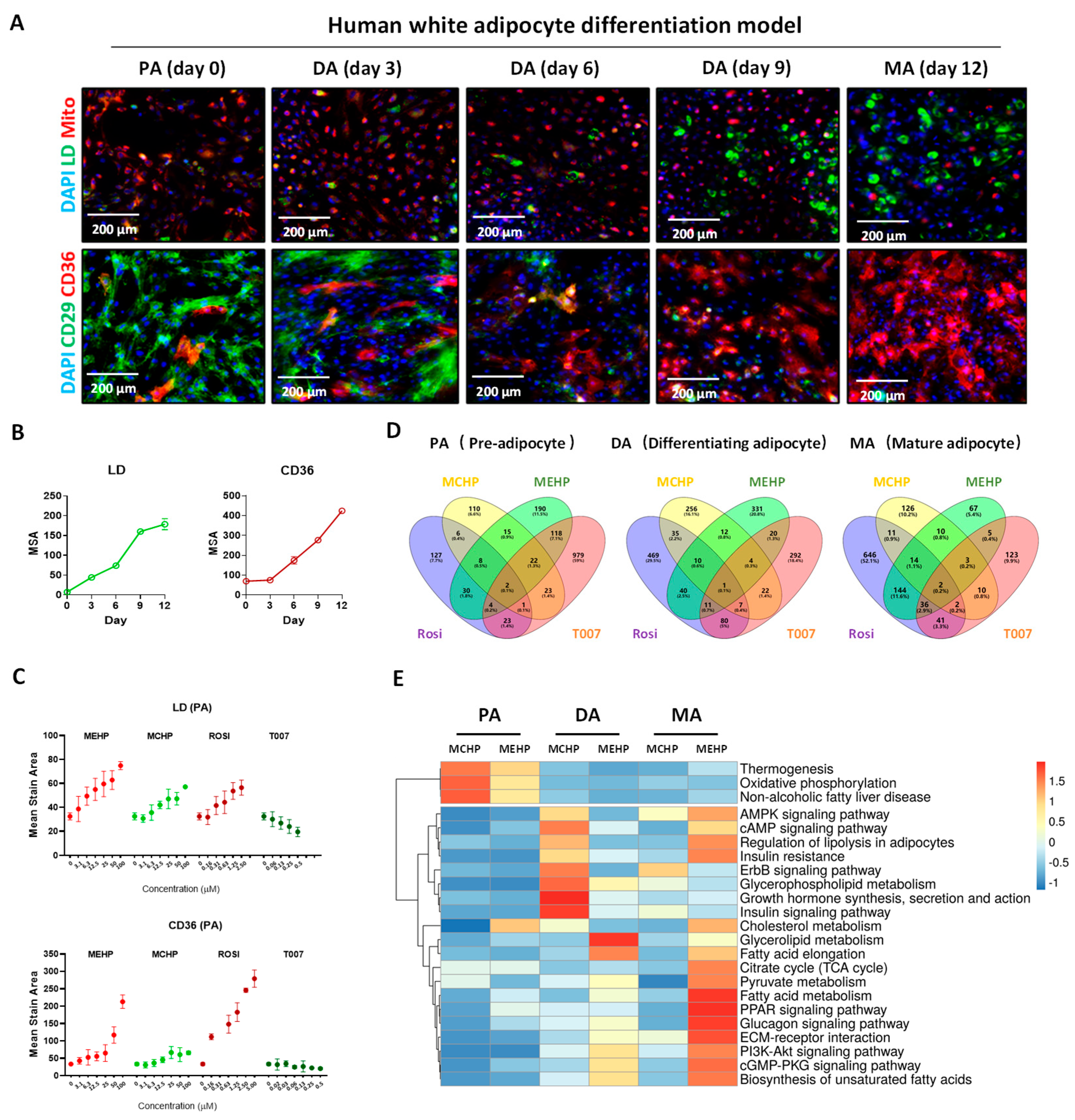 Toxics 12 00214 g003