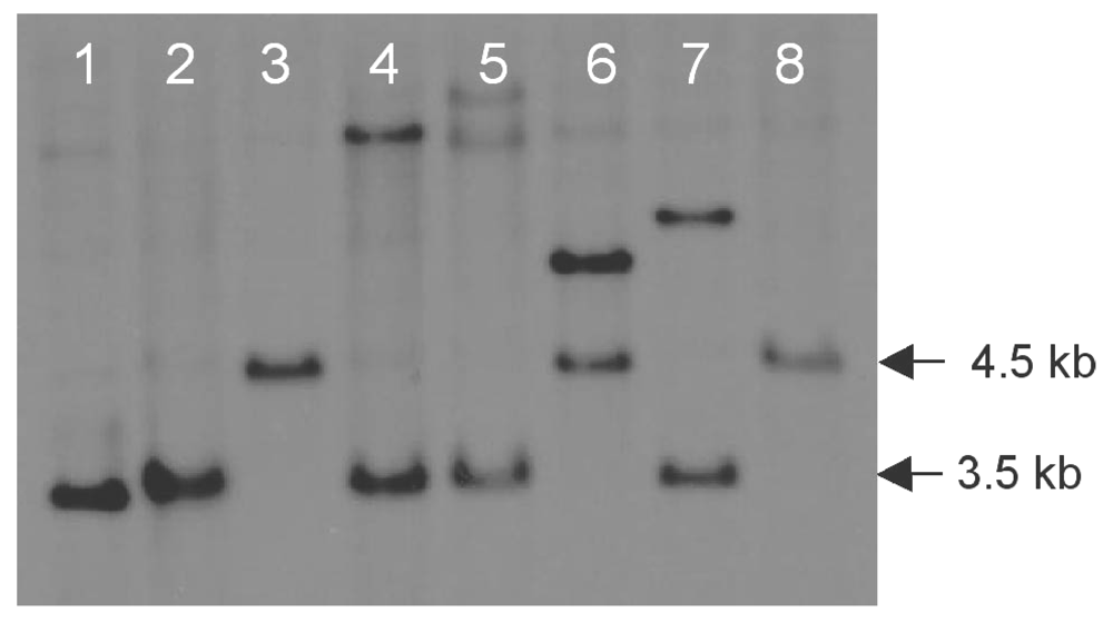 Toxins 01 00173 g001 1024