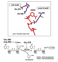 Toxins 01 00208 g005 200