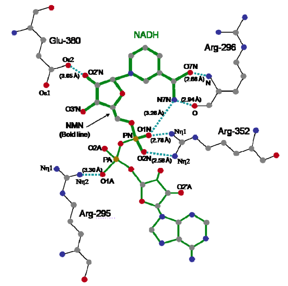 Toxins 01 00208 g008