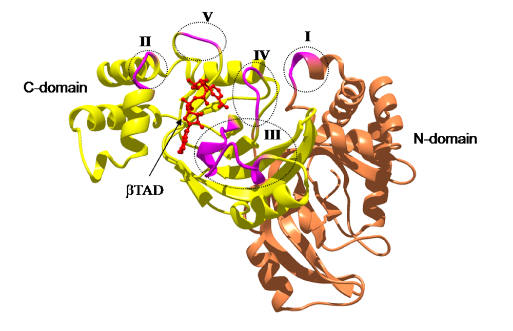 Toxins 01 00208 g011 1024