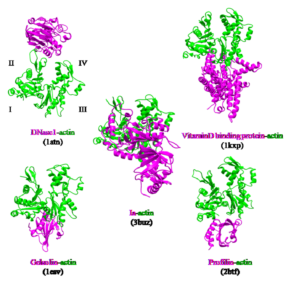 Toxins 01 00208 g012 1024