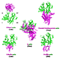 Toxins 01 00208 g012 200