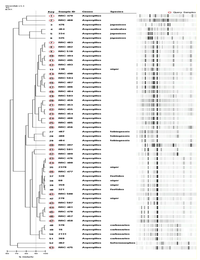 Toxins 02 00399 g001 200