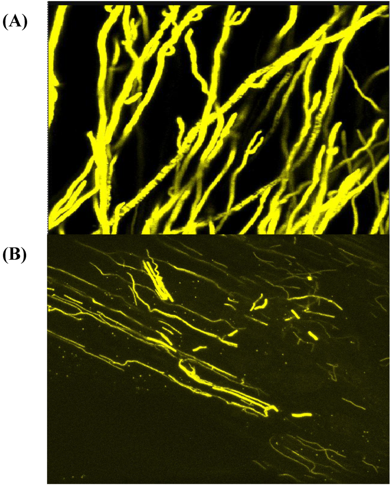 Toxins 02 00399 g002