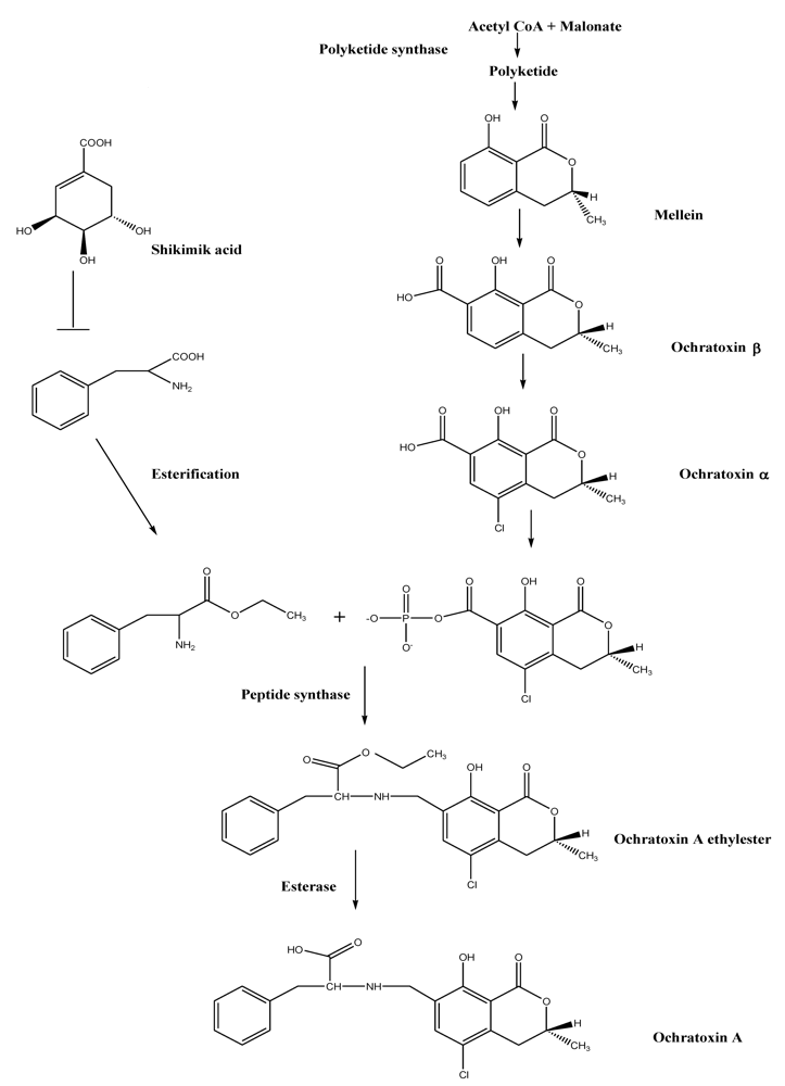 Toxins 02 00461 g003 1024