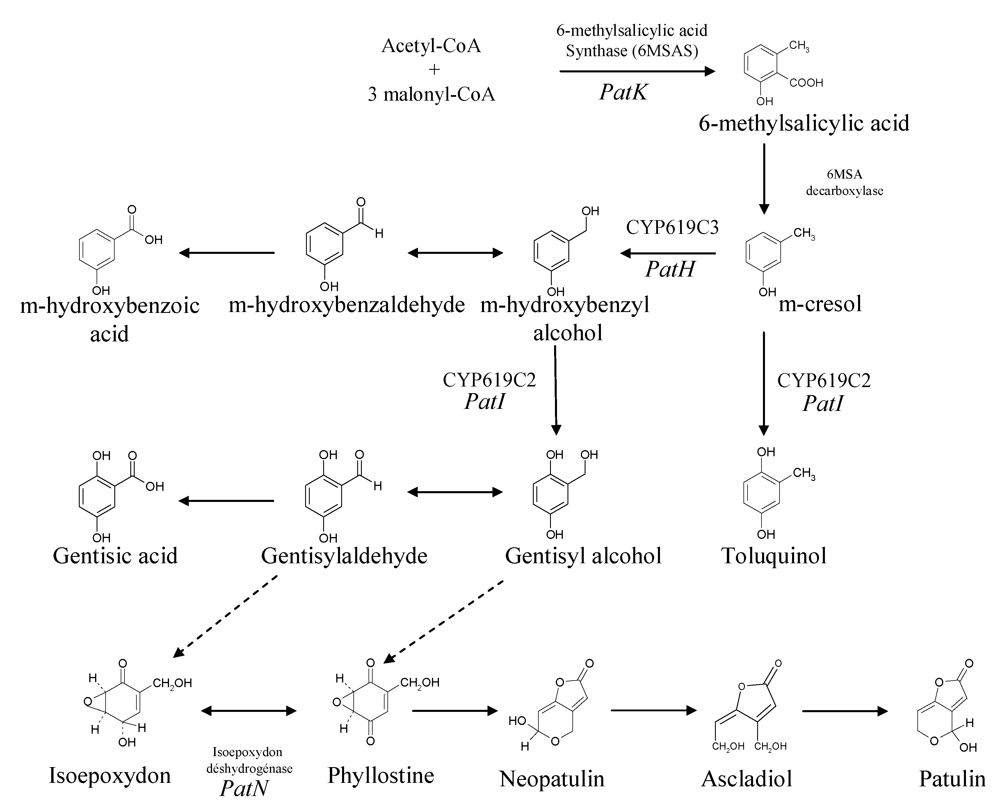 HTTP://XN--GEDCHTNISPILLE-7HB.DE/PDF.PHP?Q=BOOK-SOFTWARE-ENGINEERING-RESEARCH-MANAGEMENT-AND-APPLICATIONS-2012/