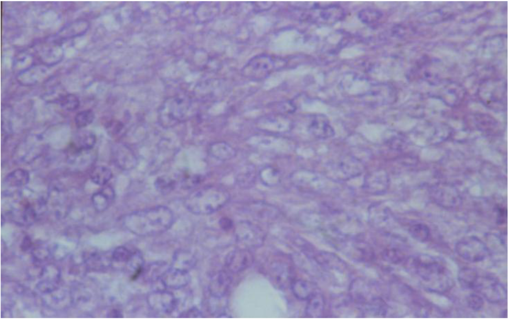Toxins 02 00649 g005