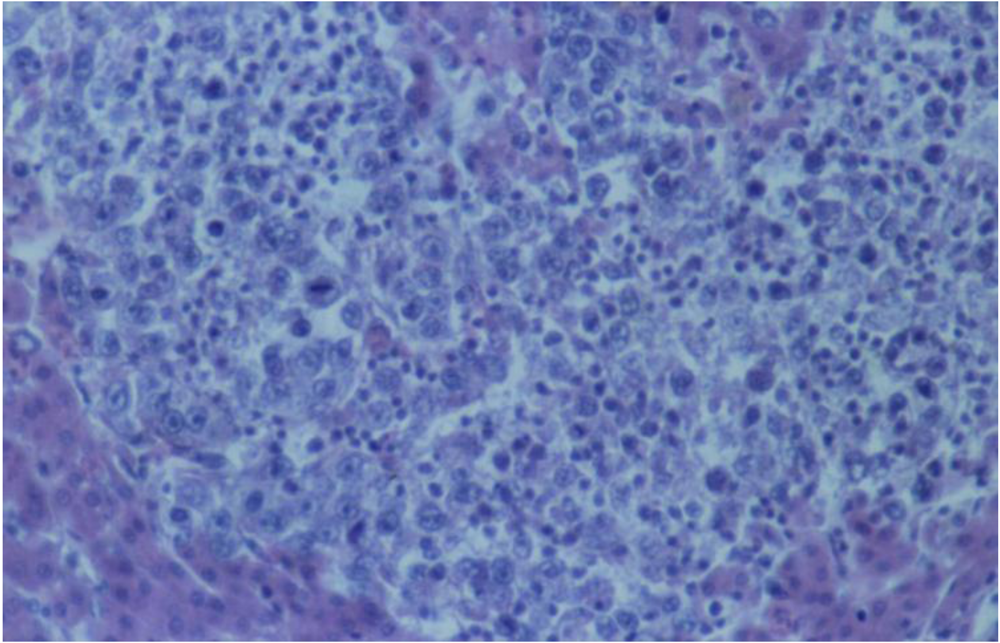 Toxins 02 00649 g008