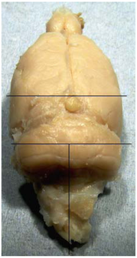 Toxins 02 01100 g001 200