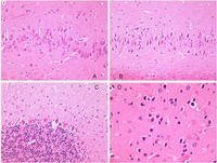 Toxins 02 01100 g005 200