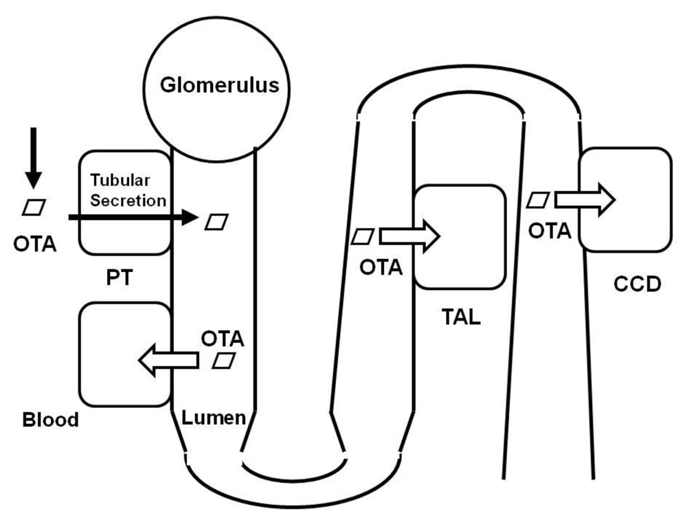 Toxins 02 01381 g001 1024