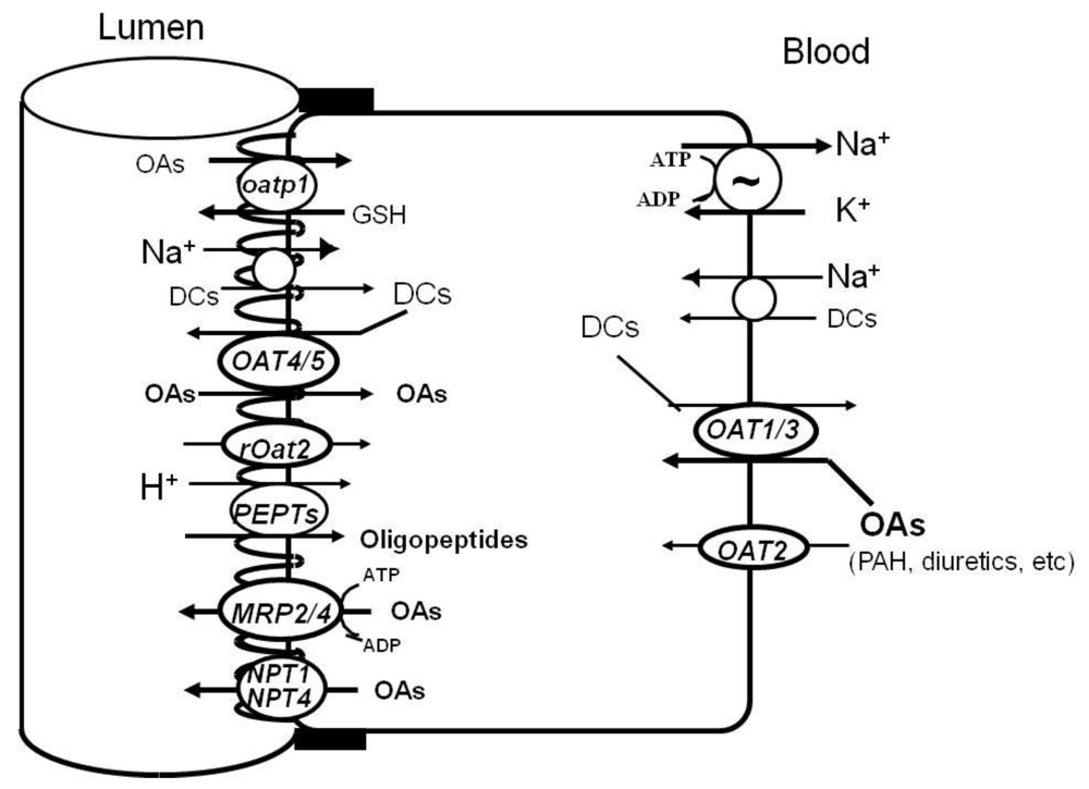 Toxins 02 01381 g002 1024