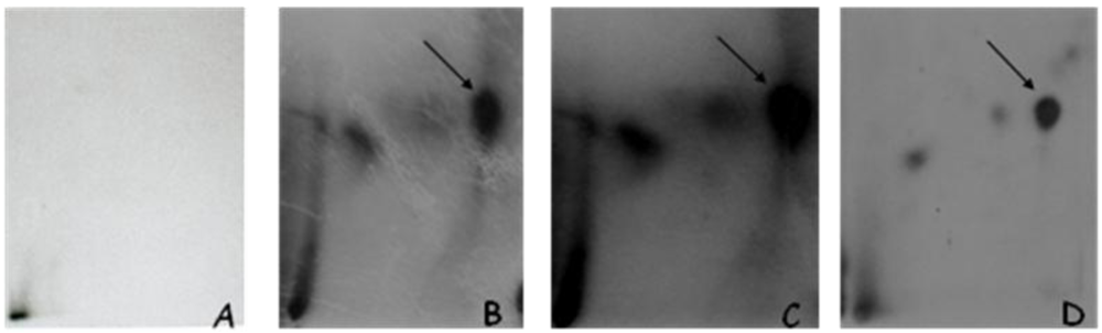 Toxins 02 01428 g006 1024
