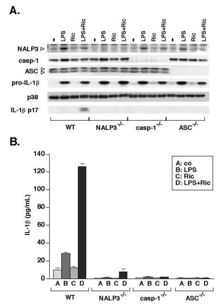 Toxins 02 01500 g002