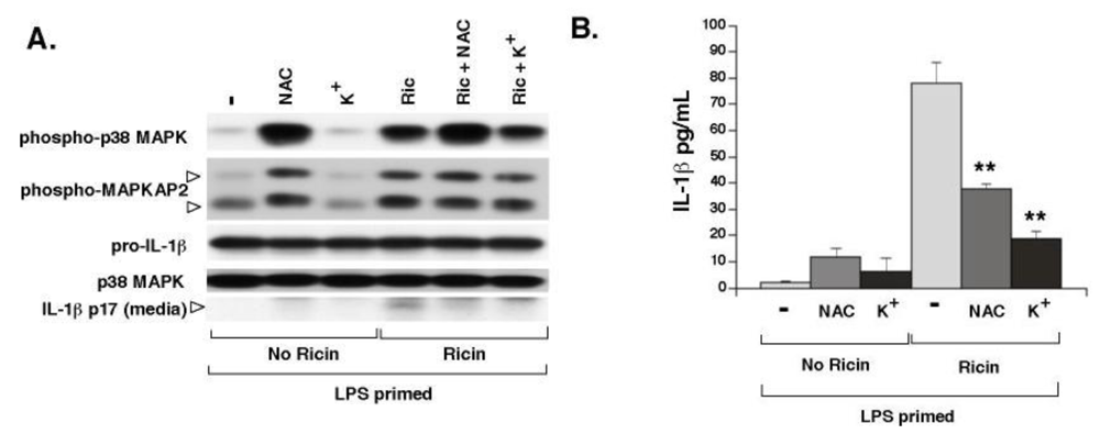 Toxins 02 01500 g003