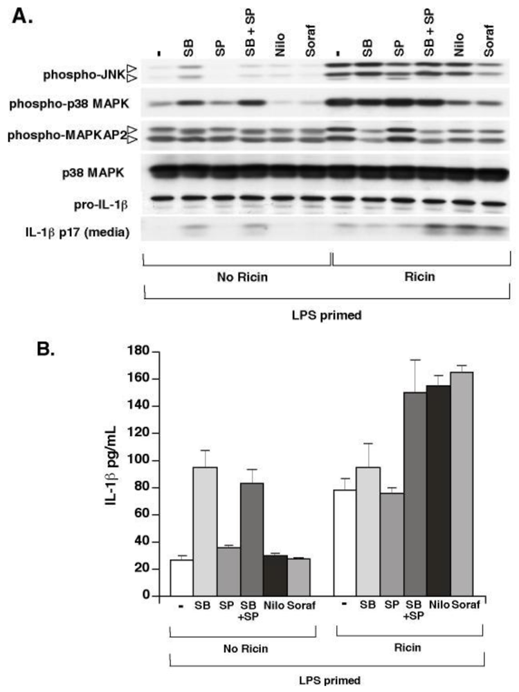 Toxins 02 01500 g004