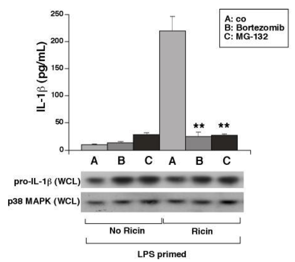 Toxins 02 01500 g005 1024
